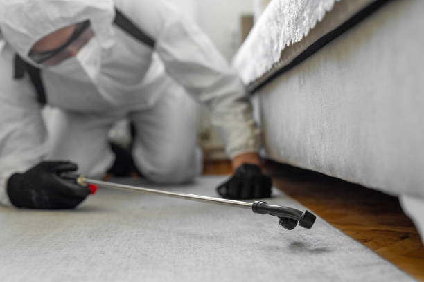 Professional Cockroach Control technician working in Midlothian, IL