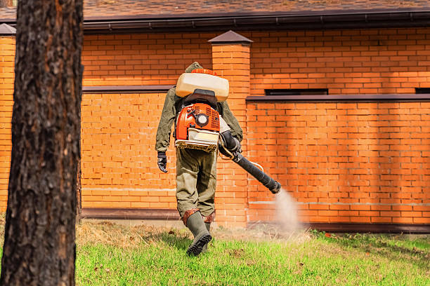 Top rated local Cockroach Control specialists in Midlothian, IL